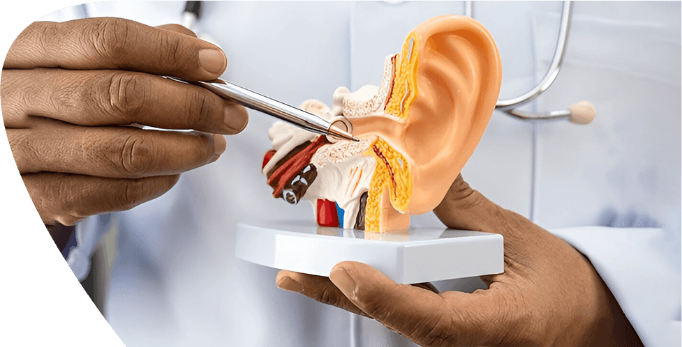 Top 10 ENT Specialists in Rangpur – Expert Ear, Nose & Throat Doctors - Doctor Rangpur