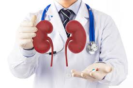 Top 10 Kidney Specialists in Rangpur – Trusted Nephrologists - Doctor Rangpur
