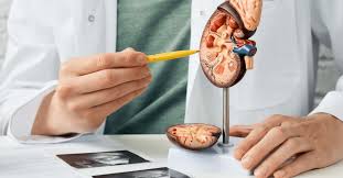 Top 10 Urology Specialists in Rangpur – Trusted Urologists